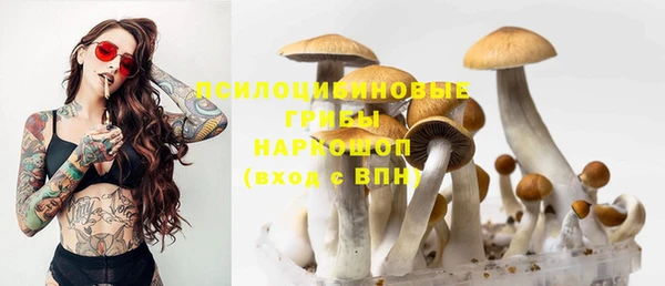 скорость Верхний Тагил