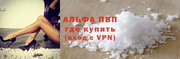 прущие грибы Богородицк