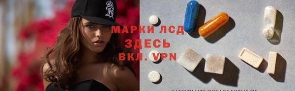 стафф Богданович