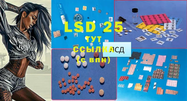 стафф Богданович