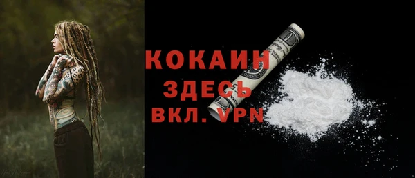 стафф Богданович