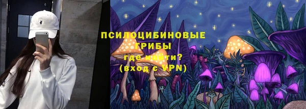 прущие грибы Богородицк