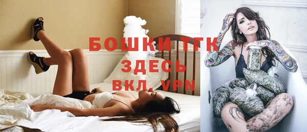стафф Богданович