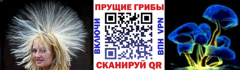 Галлюциногенные грибы прущие грибы  Карачаевск 